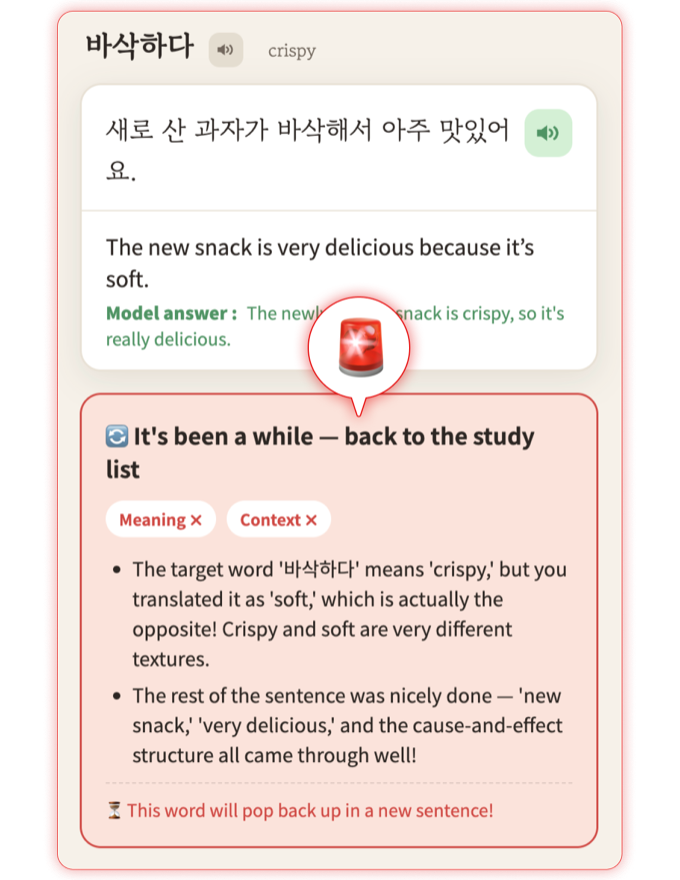 Spaced repetition review